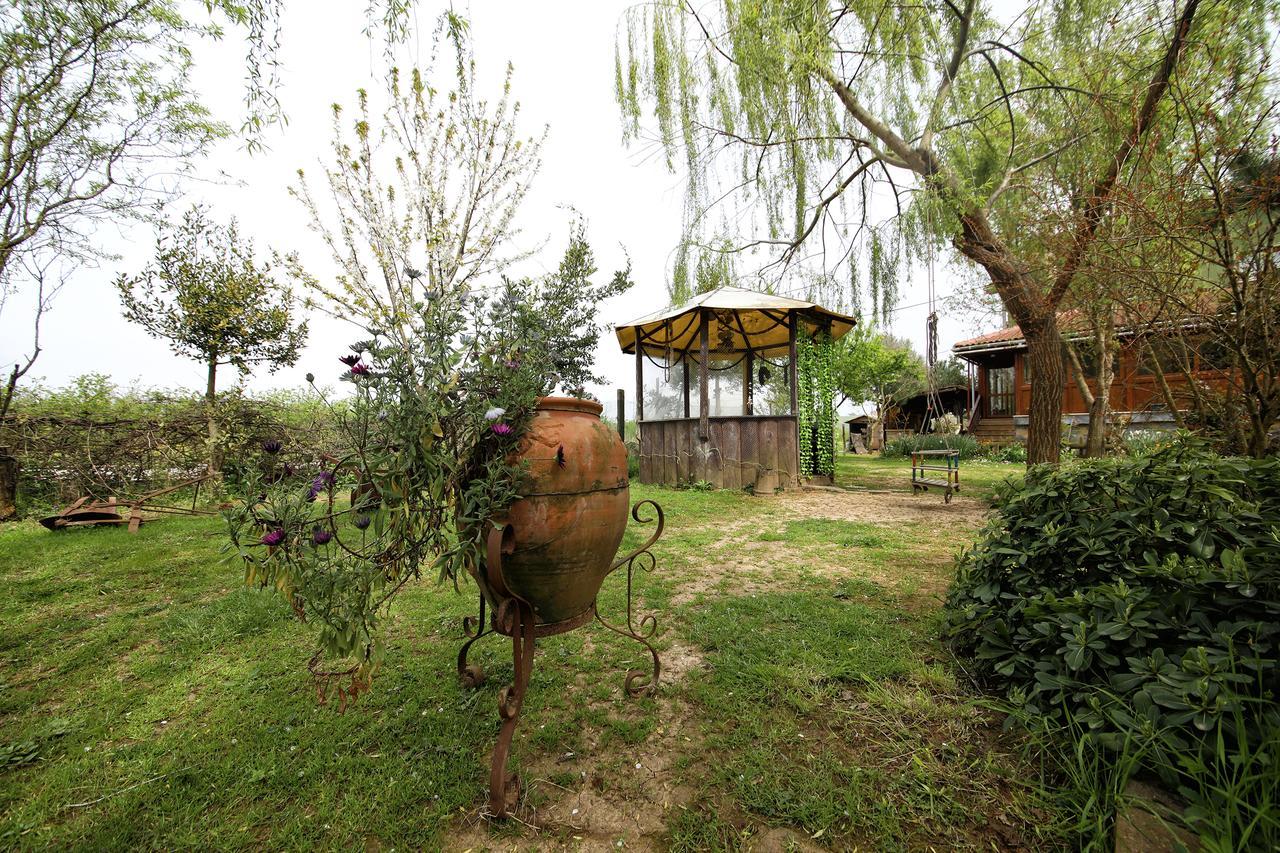 Tartaruga Motel Goce Exterior photo